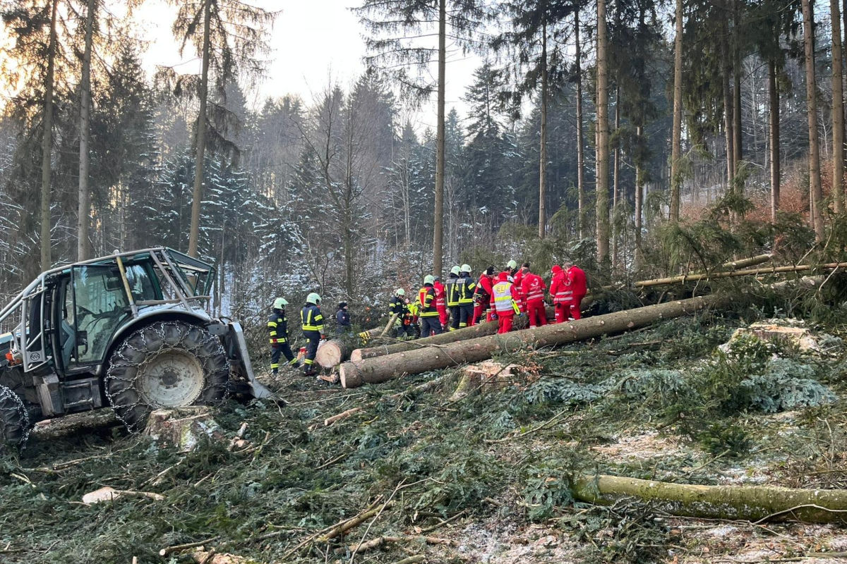 Forstunfall in St. Georgen im Attergau – Mann von Baum getroffen