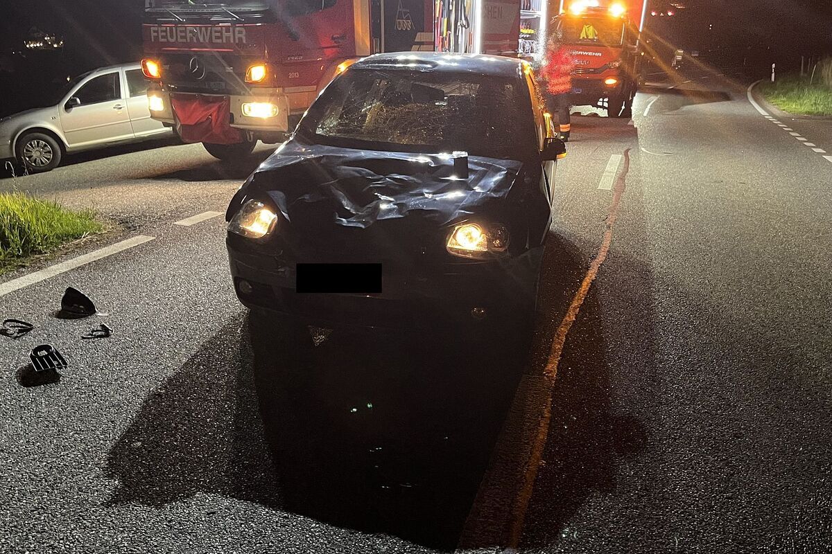 Diegten BL - Rind verstirbt nach Kollision mit einem Auto