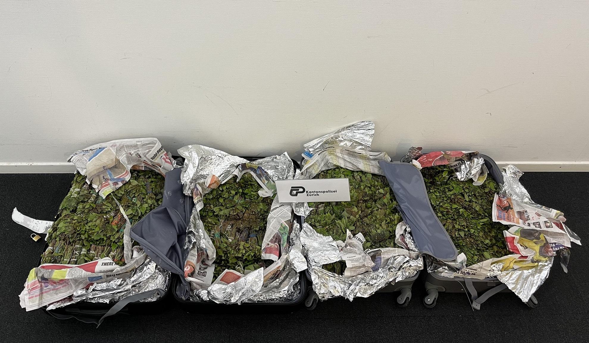 Zürich-Flughafen – Drogenkuriere verhaftet und Khat sichergestellt