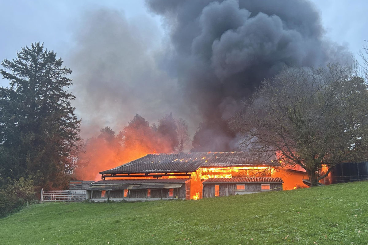 Wädenswil ZH – Dieselaustritt bei Brand eines Stalles