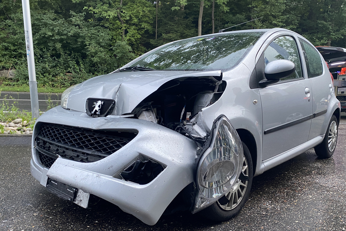 Kanton Luzern - Viel Arbeit für die Luzerner Polizei 