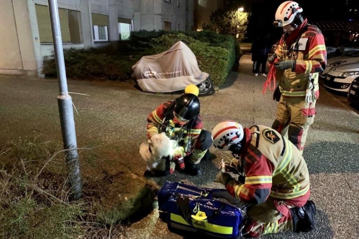 Bümpliz BE - Frau und Hund mussten von Feuerwehr aus Wohnung gerettet werden!