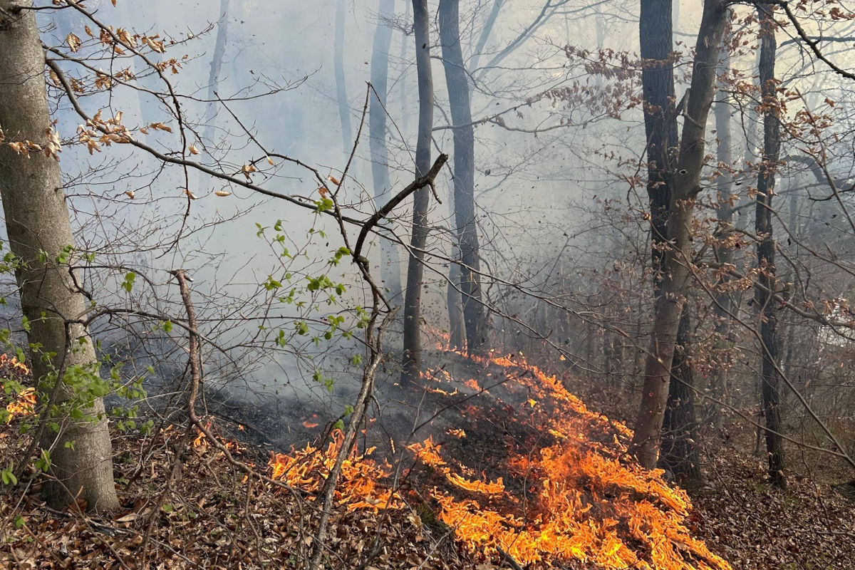 Judendorf – Kinder verursachen Brand durch Zündeln