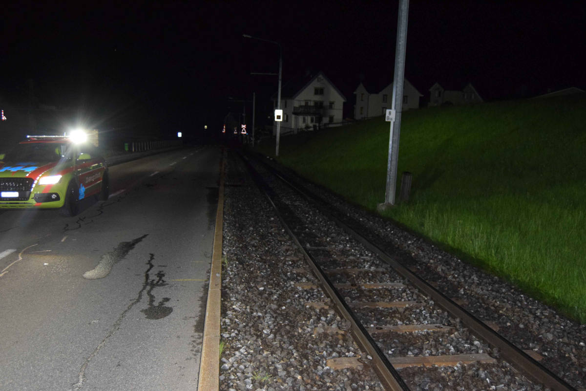 Speicher AR – Betrunkener stürzt mit E-Bike