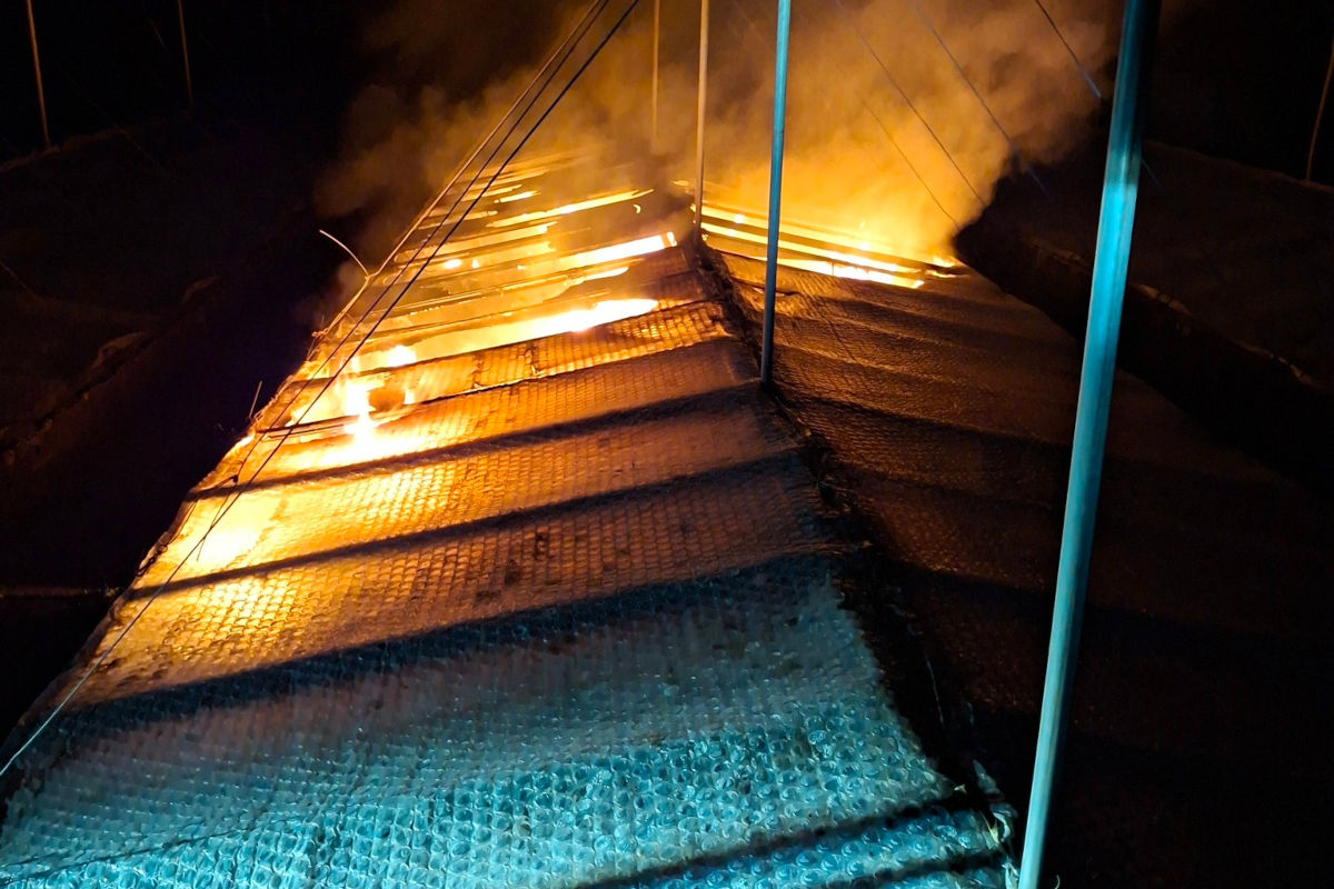 Bludenz – Grablicht löst Brand in Gewächshaus aus