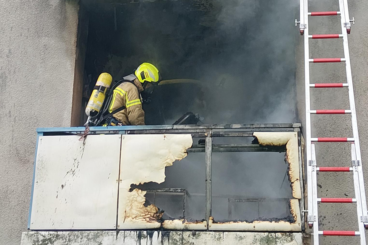 Hannover – Verletzte Katze nach Balkonbrand gerettet