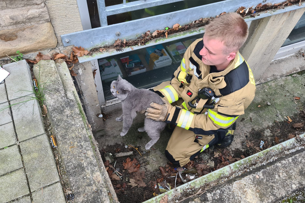 Ennepetal – Feuerwehr rettet Katze aus Lichtschacht