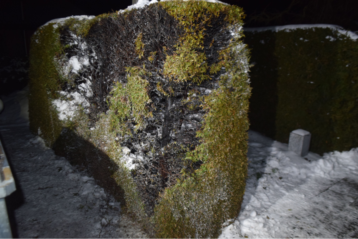 Udligenswil LU - Brand beim Friedhof