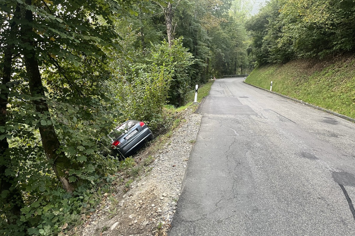 Rekingen AG - Unter Alkoholeinfluss während der Fahrt eingeschlafen und verunfallt