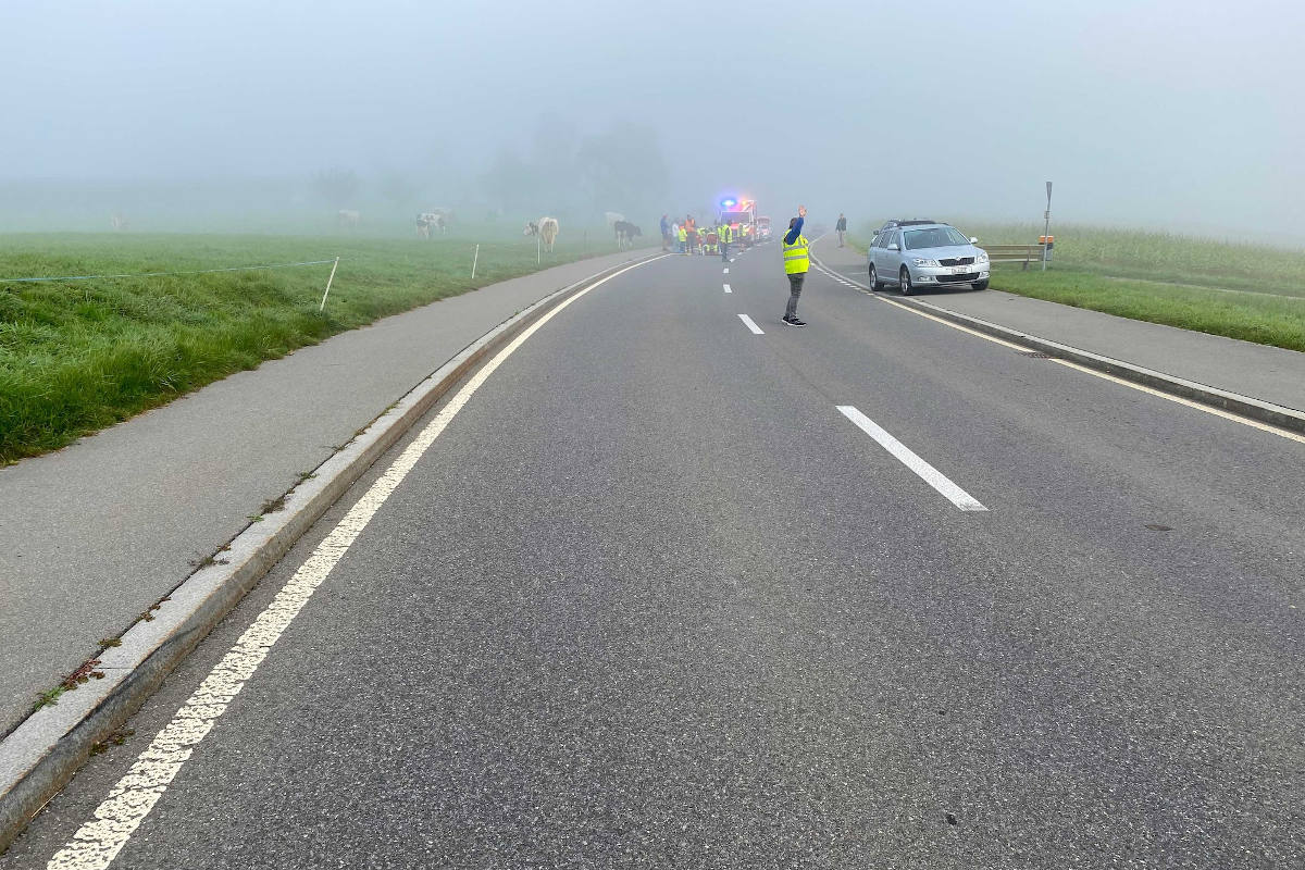 Risch Rotkreuz ZG – Kind springt auf Strasse – von Auto erfasst