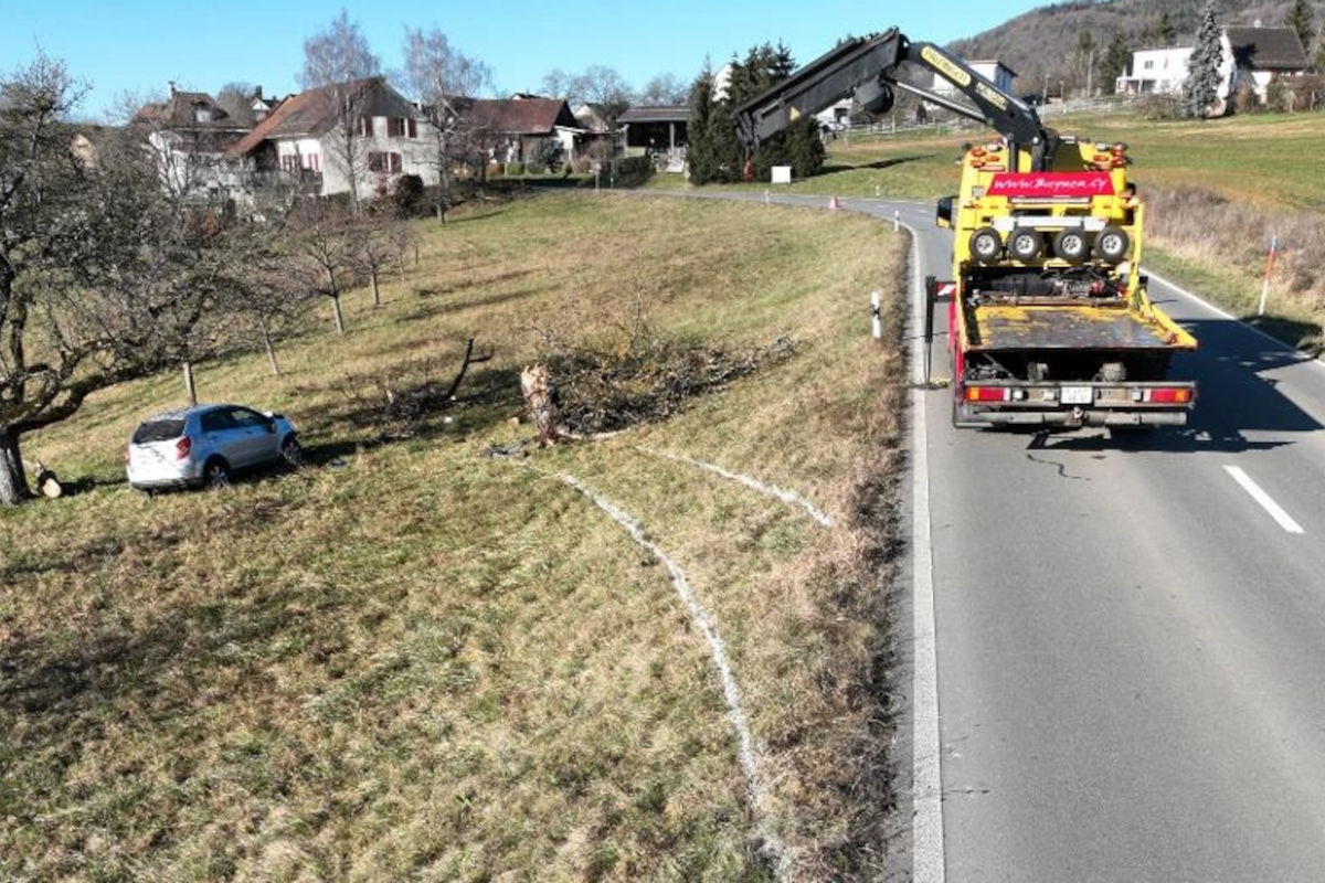 Löhningen SH – Auto prallt bei Unfall gegen Baum