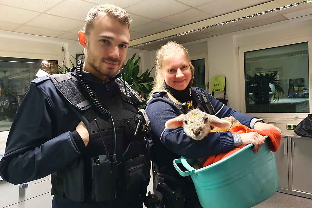 Sankt Augustin - Polizei rettet Lämmchen