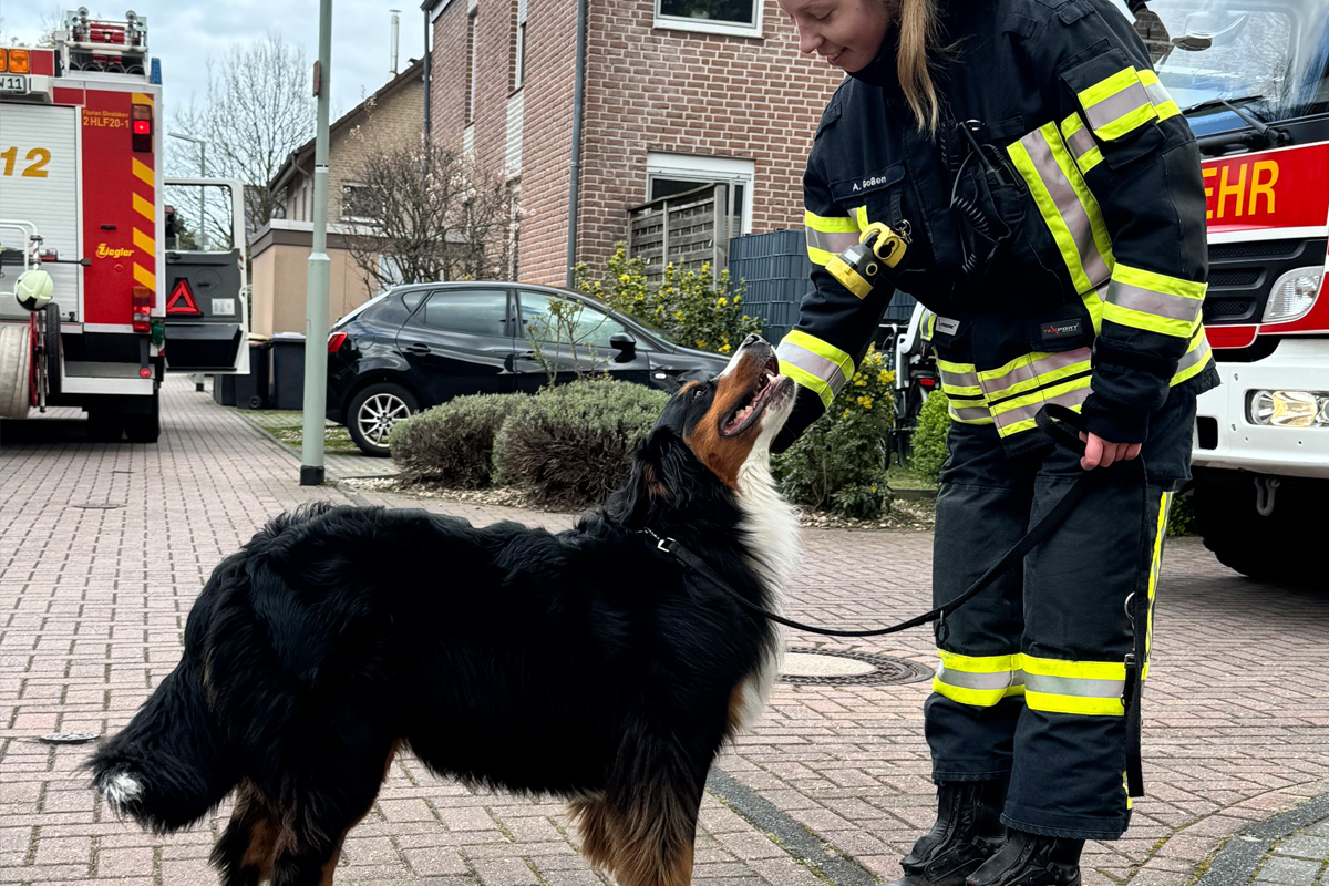 Dinslaken – Haustiere bei Kellerbrand in Wohnhaus gerettet