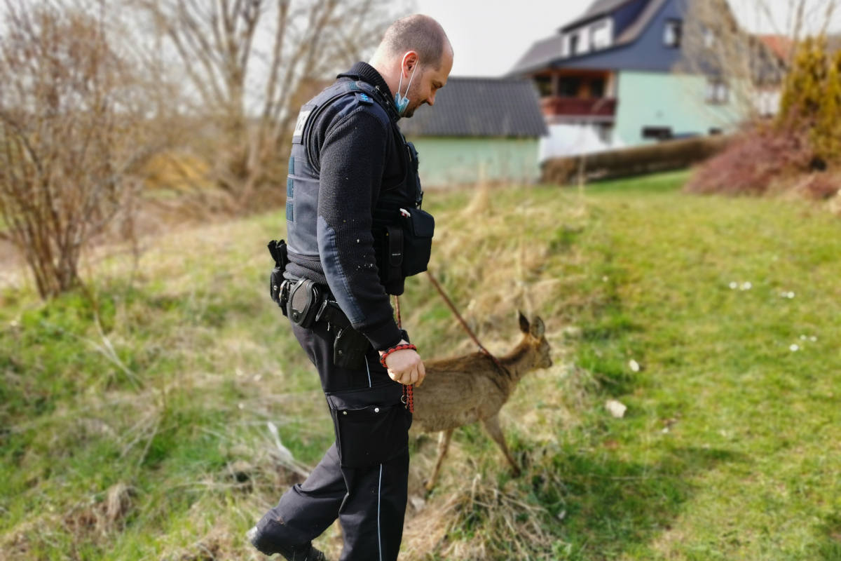 Neuhaus-Schierschnitz – Hilfloses Reh an Tierpfleger übergeben