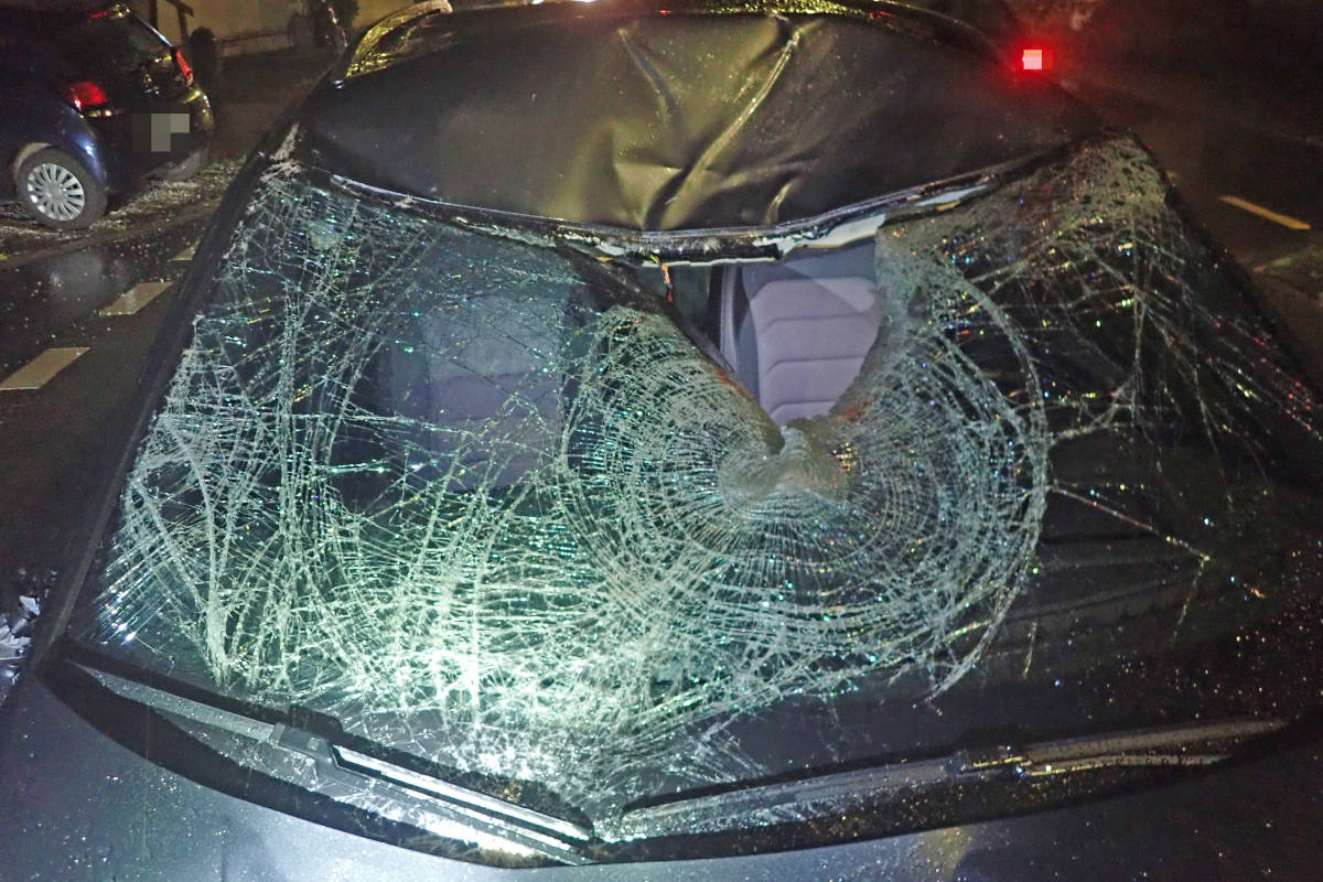 Tragischer Unfall in Romanshorn TG – Heftige Kollision mit Pferd