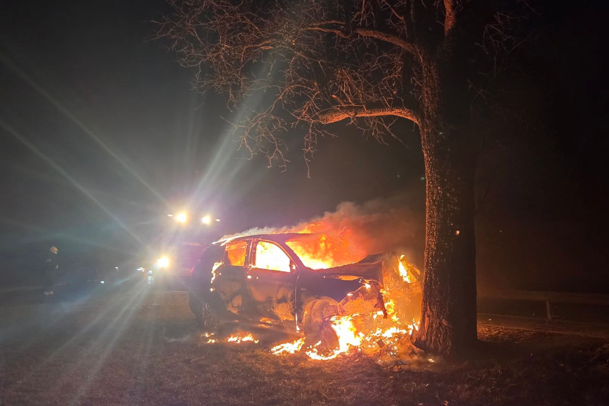 Tödlicher Unfall in Frankenfels – Pkw prallt gegen Baum