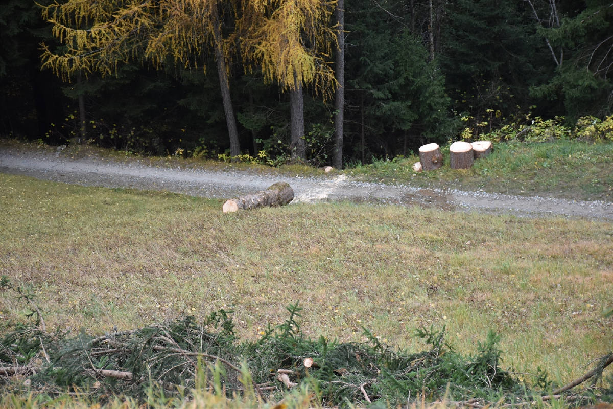 Poschiavo GR – Mann bei Forstarbeiten verletzt