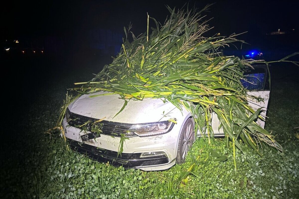 Abtwil AG - Autofahrt endet im Maisfeld