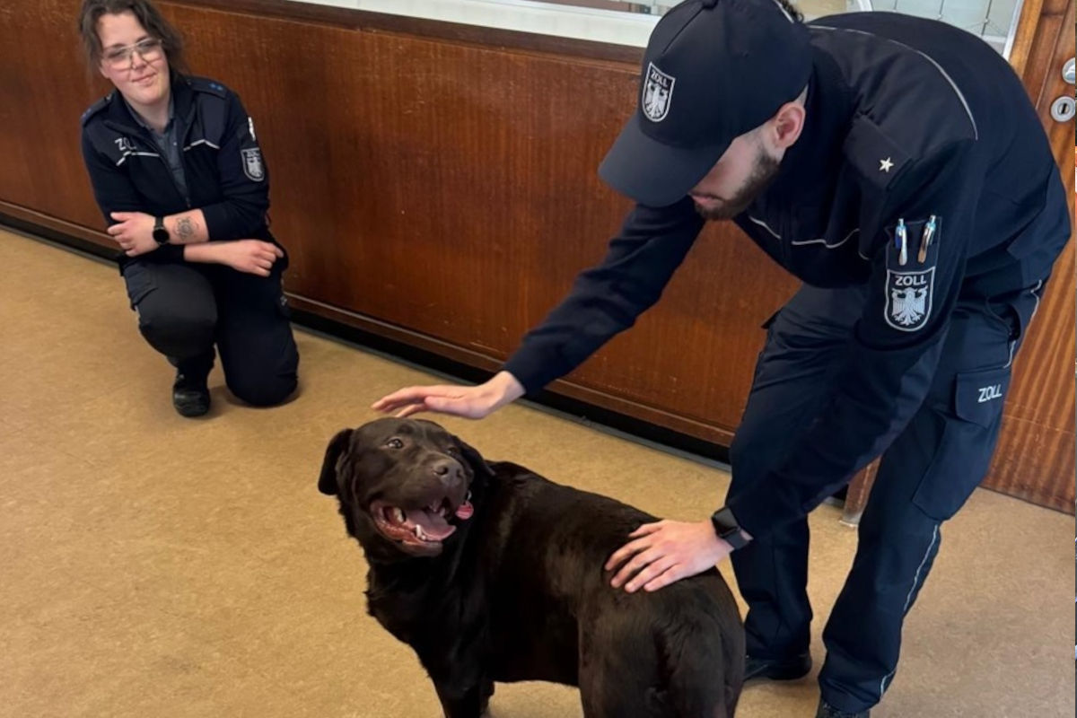 Nettetal – Freilaufender Hund sorgt für Einsatz