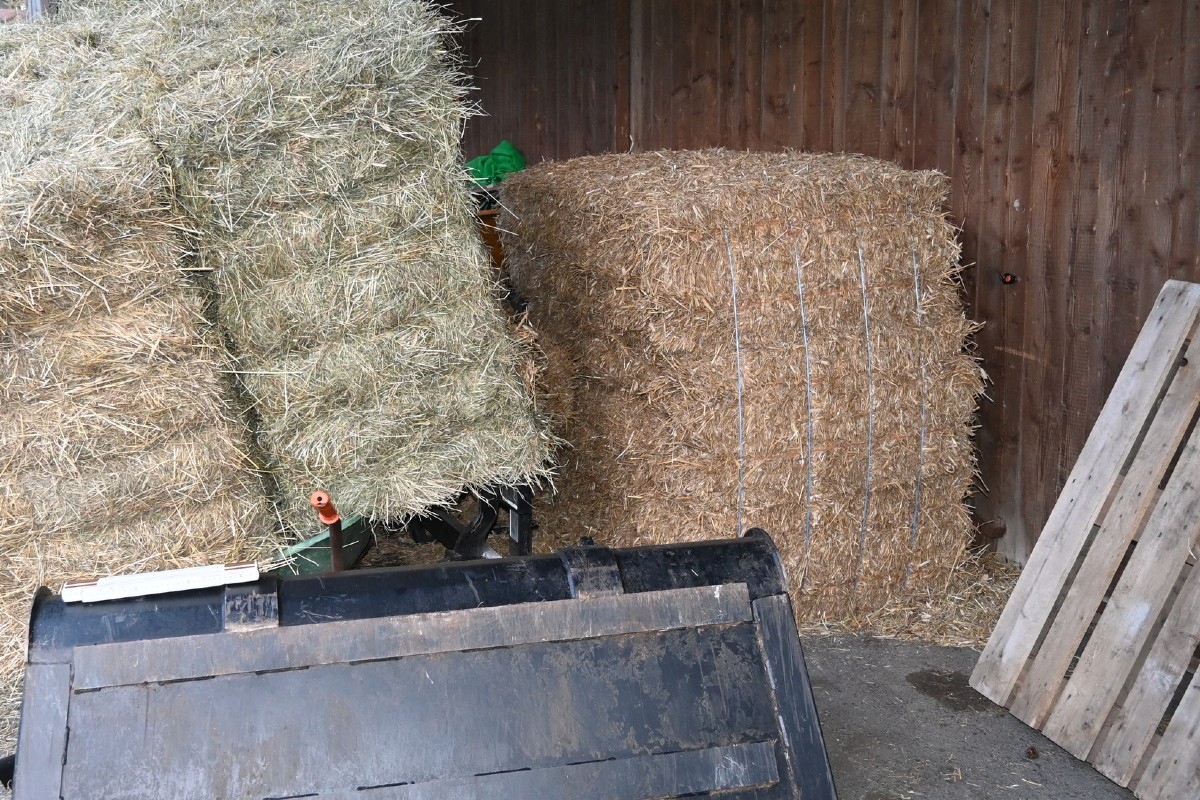 Triesenberg FL - Arbeitsunfall bei landwirtschaftlicher Arbeit