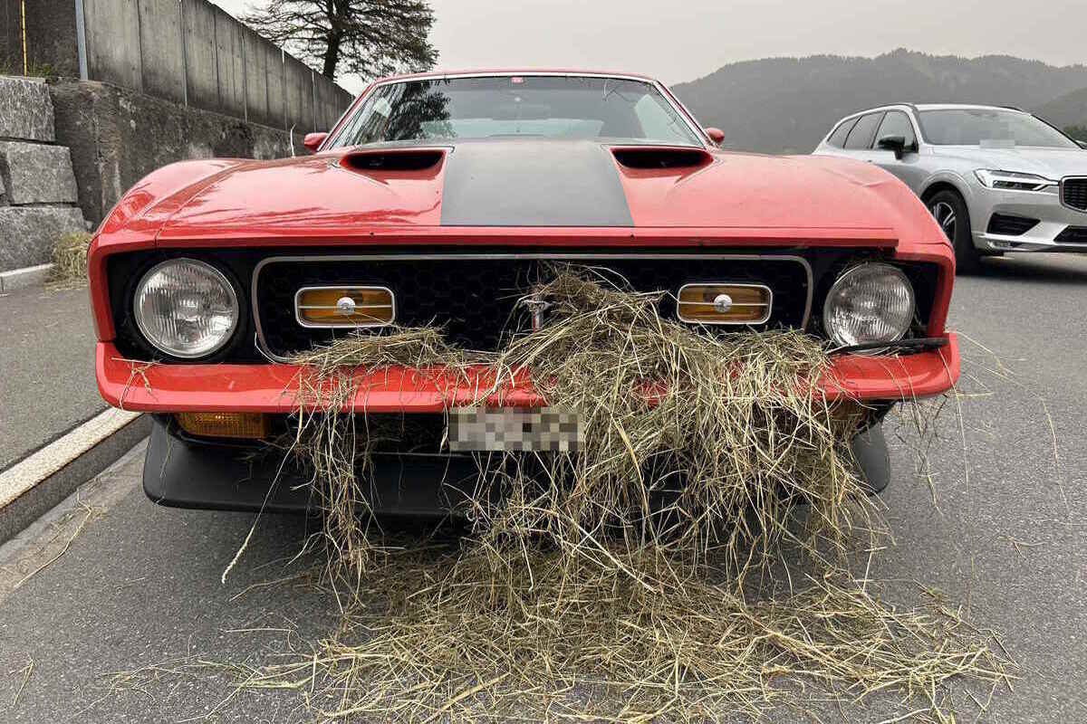 Krummenau SG - Heuballe mit zwei Autos kollidiert 