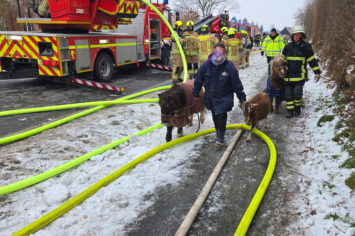 Linau – Tierrettung und Löscharbeiten bei Frost nach Brand