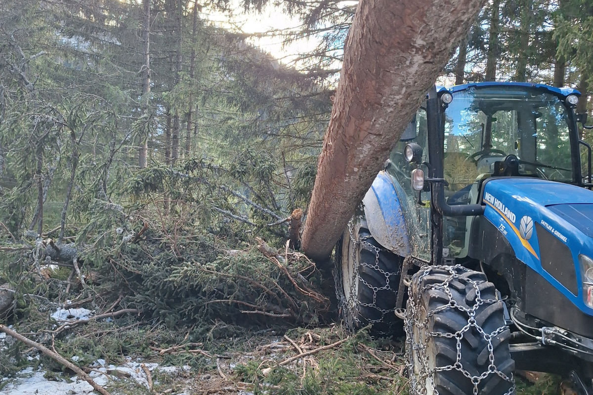 Unfall in Obdach – Verkeilter Baum verletzt Mann schwer
