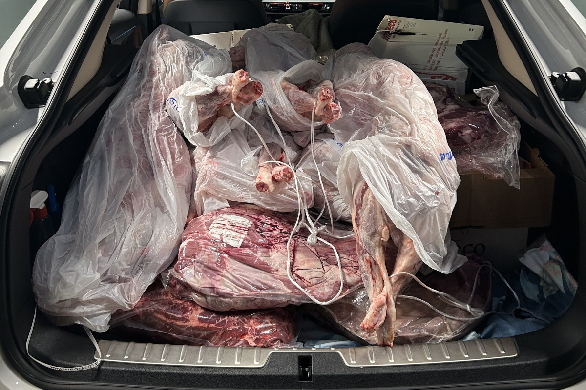 Trübbach SG – Mit über 300 Kilogramm ungekühltem Fleisch im Auto erwischt