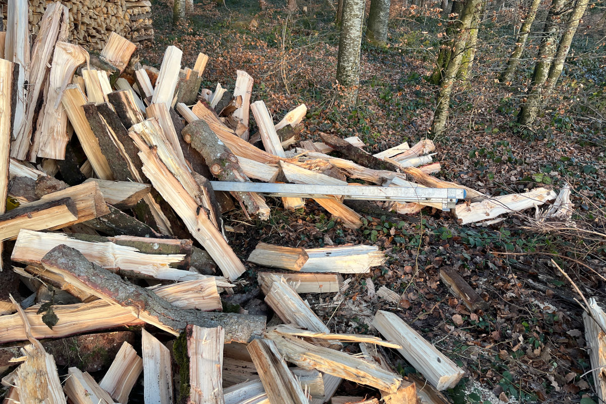 Busswil TG – Mann stürzt bei Arbeit von Leiter und wird verletzt