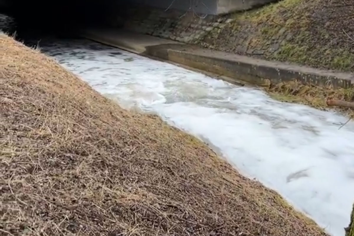 Thal SG – Ermittlungen wegen Umweltverschmutzung im Steinlibach
