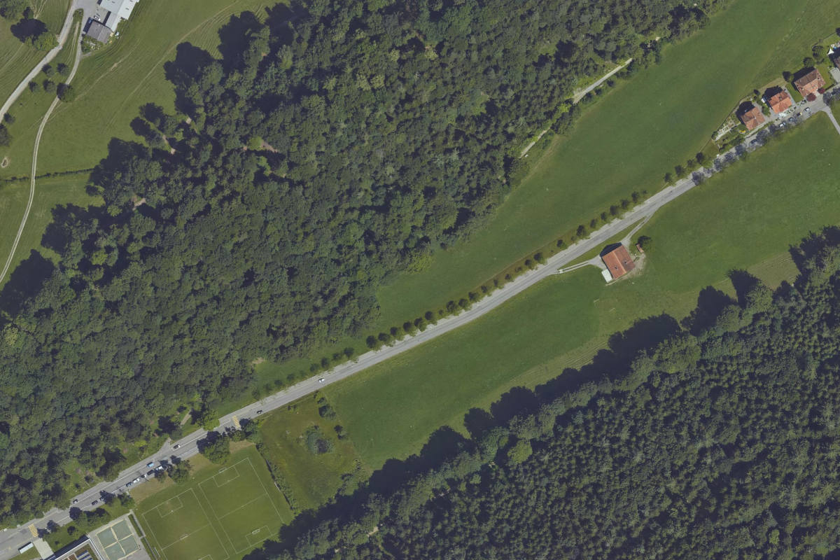 St.Gallen – Personenwagen kollidiert mit Reh