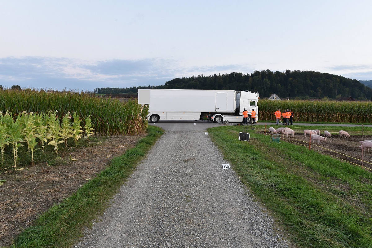 Flaach ZH – Mofalenker wird bei Kollision mit Lastwagen schwer verletzt