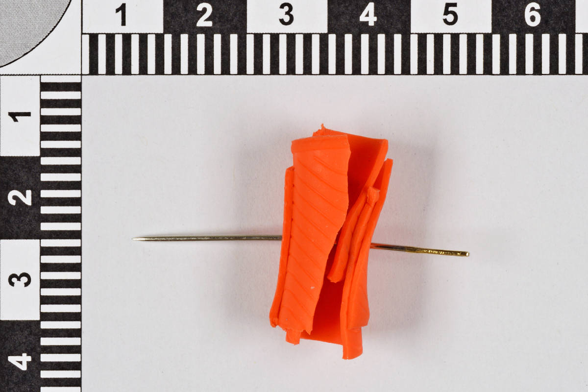 Stadt Schaffhausen – Polizei bittet um Hinweise zu Hundeköder 