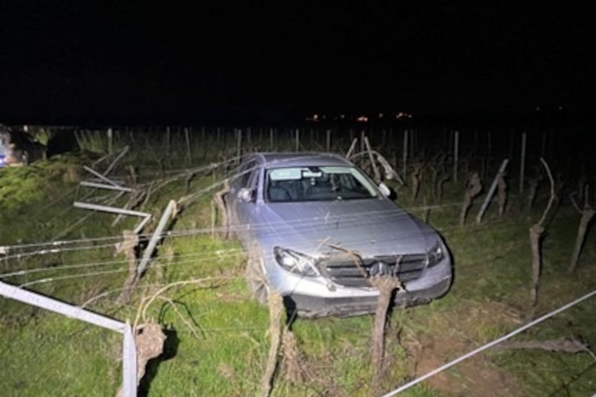 Edenkoben – Unfallflucht nach Fahrt durch Weinreben