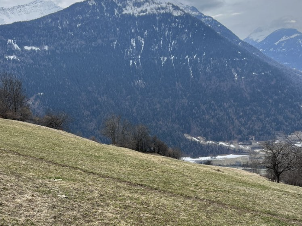 Levron VS - Deltasegler stirbt noch auf Unfallstelle