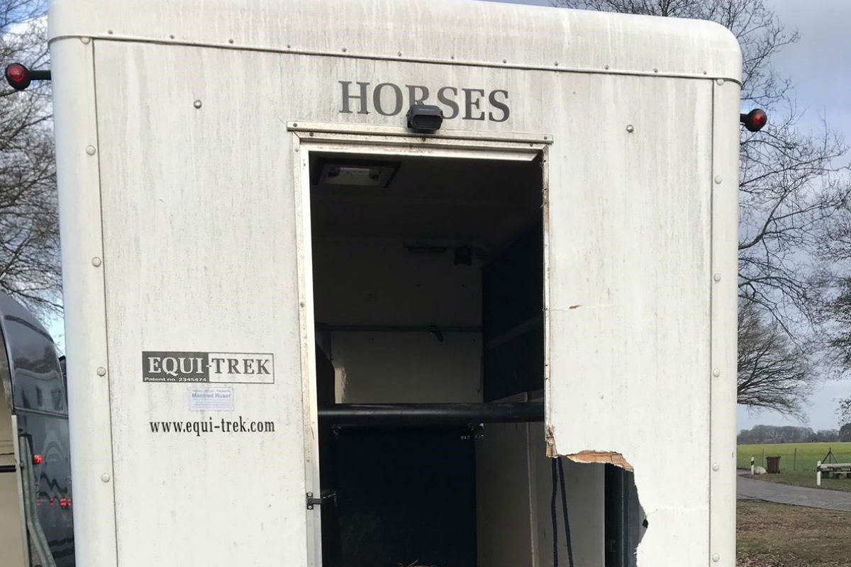 Pferd springt bei voller Fahrt aus Anhänger auf die Autobahn