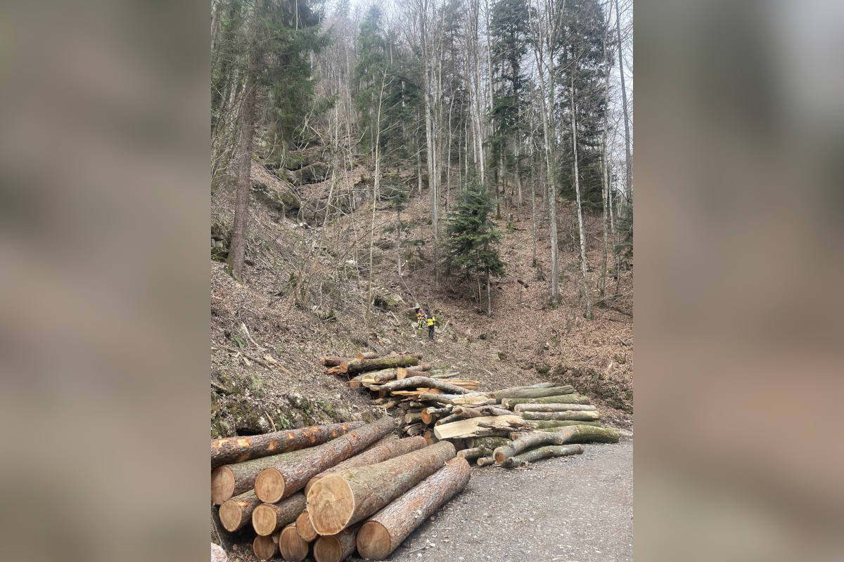 Drama in Arth: Berggänger von Stein eingeklemmt und tödlich verletzt