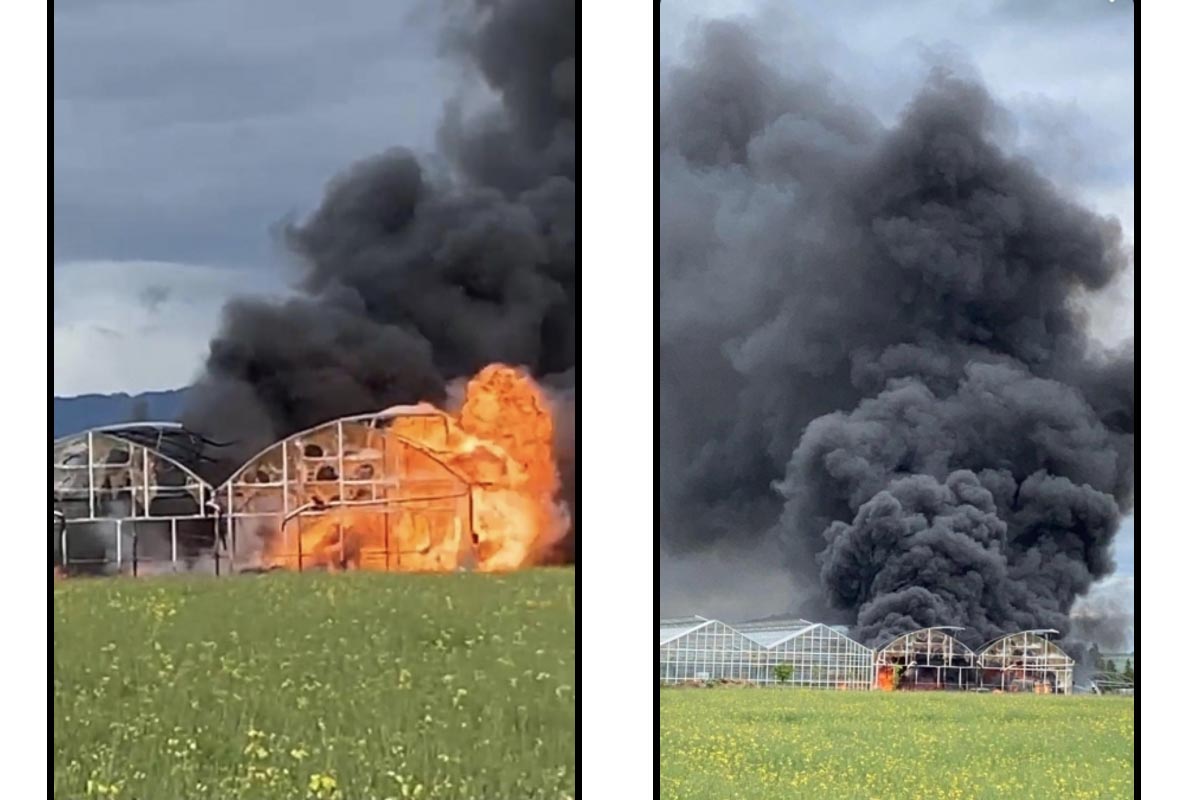 Aegerten: Ursache des Brandes in Lagerhalle nicht mehr zu bestimmen