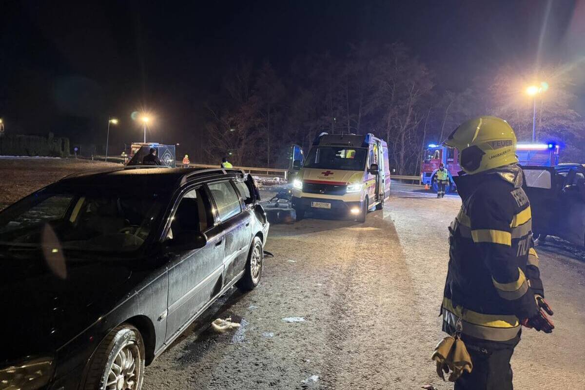 Unfall in Tillmitsch – Auto erfasst Mann und Hund – Tier tot