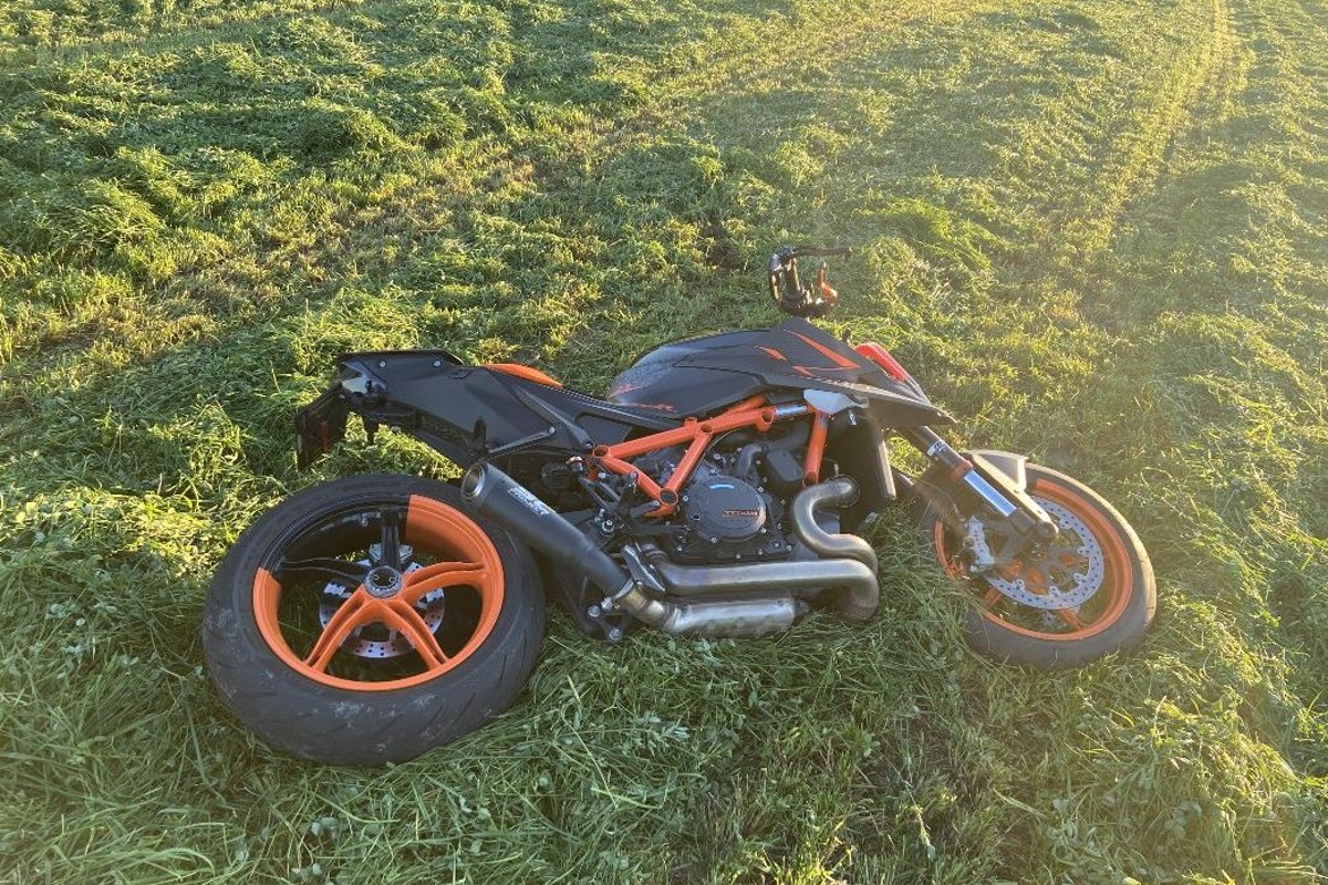 Wildunfall in Schupfart AG - Kollision mit Reh fordert Schwerverletzten