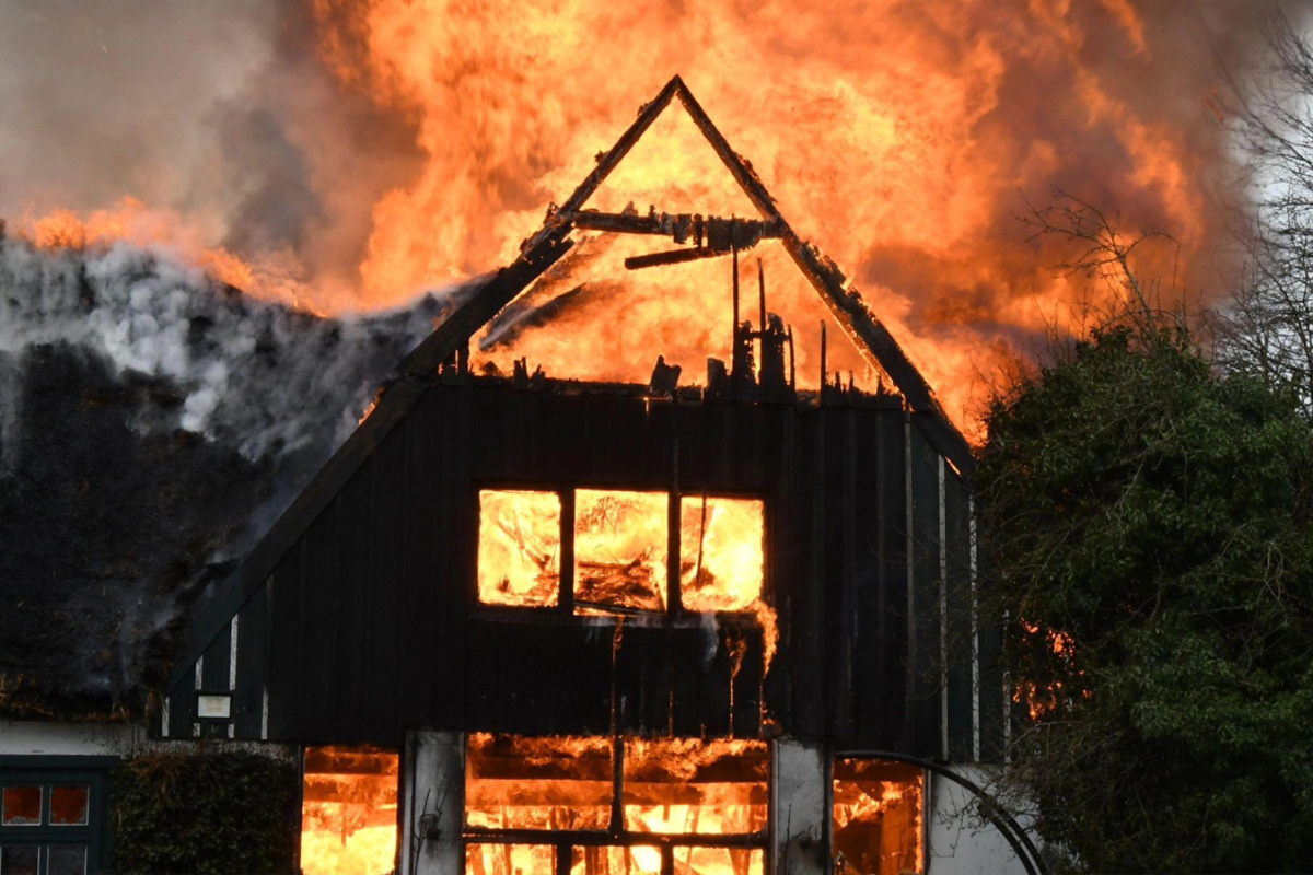 Seester – Reetdachhaus brennt nieder – Pferdeklinik gerettet