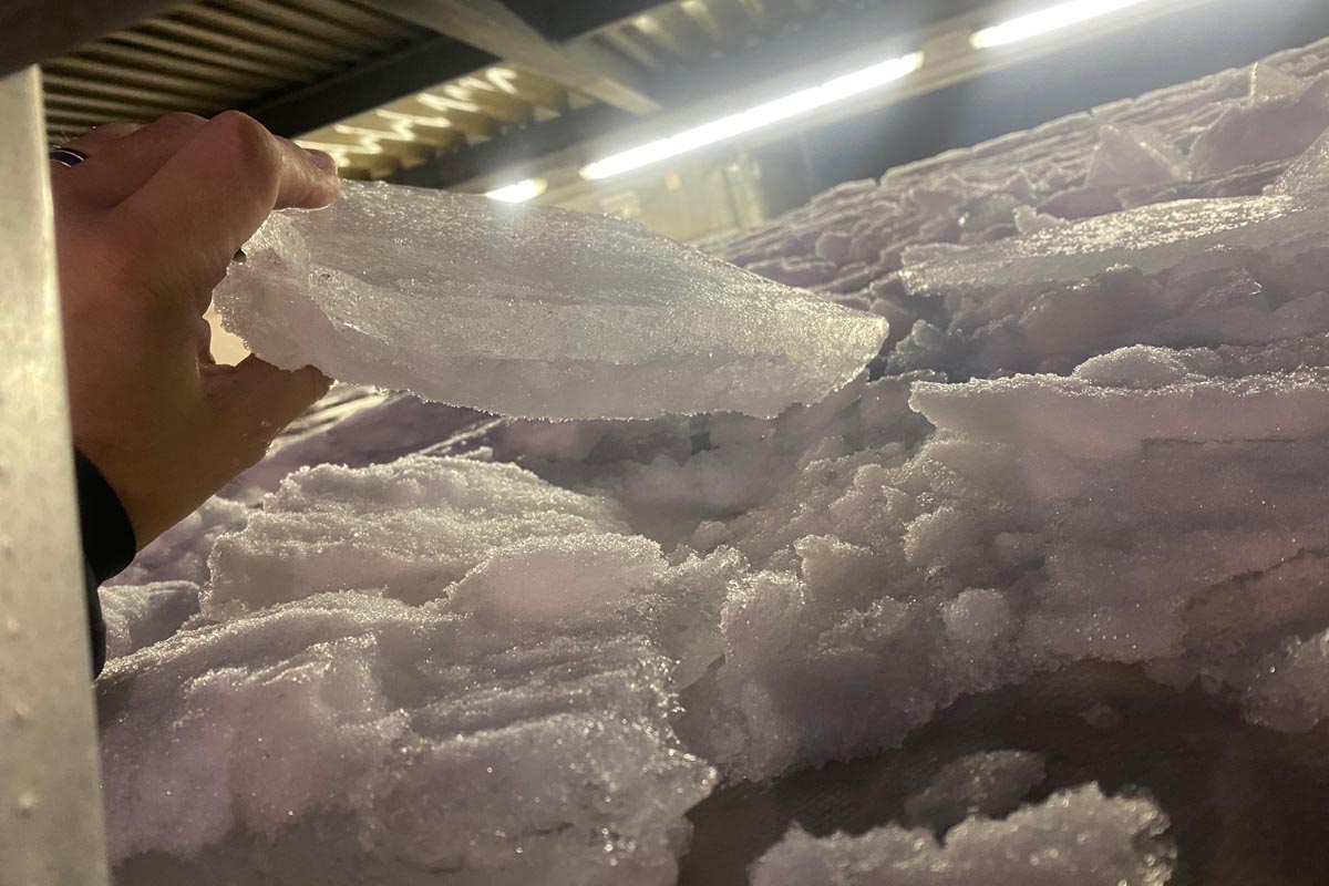 Gefährlicher Leichtsinn in Schaffhausen – Lastwagen aus dem Verkehr gezogen