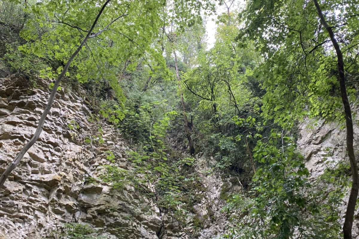 Unglück in Liestal BL - Frau stürzt von Felsen und wird schwer verletzt