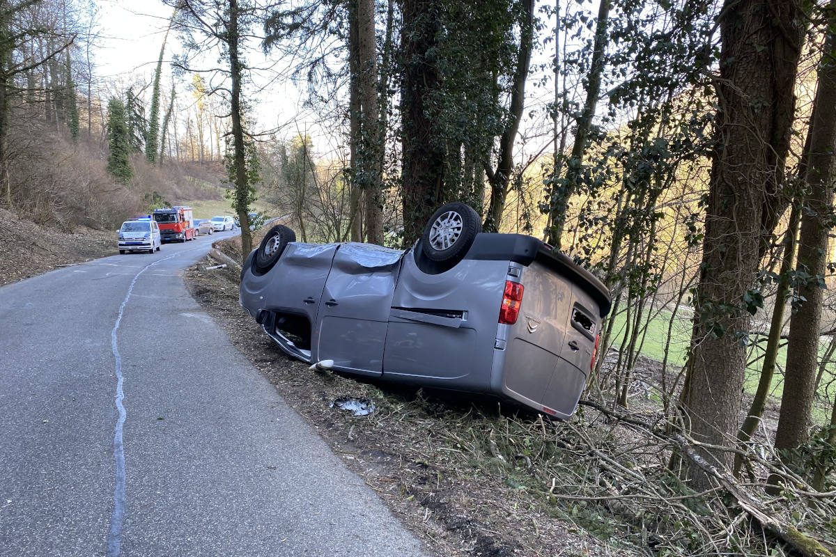 Rekingen AG – Holzfällerarbeiten lösen Grossaufgebot aus