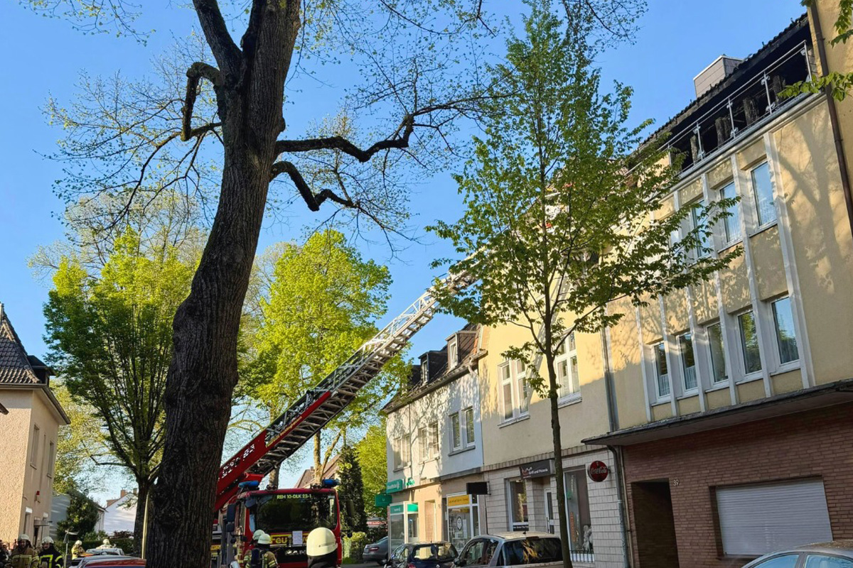 Recklinghausen – Zwei Katzen bei Wohnungsbrand gerettet