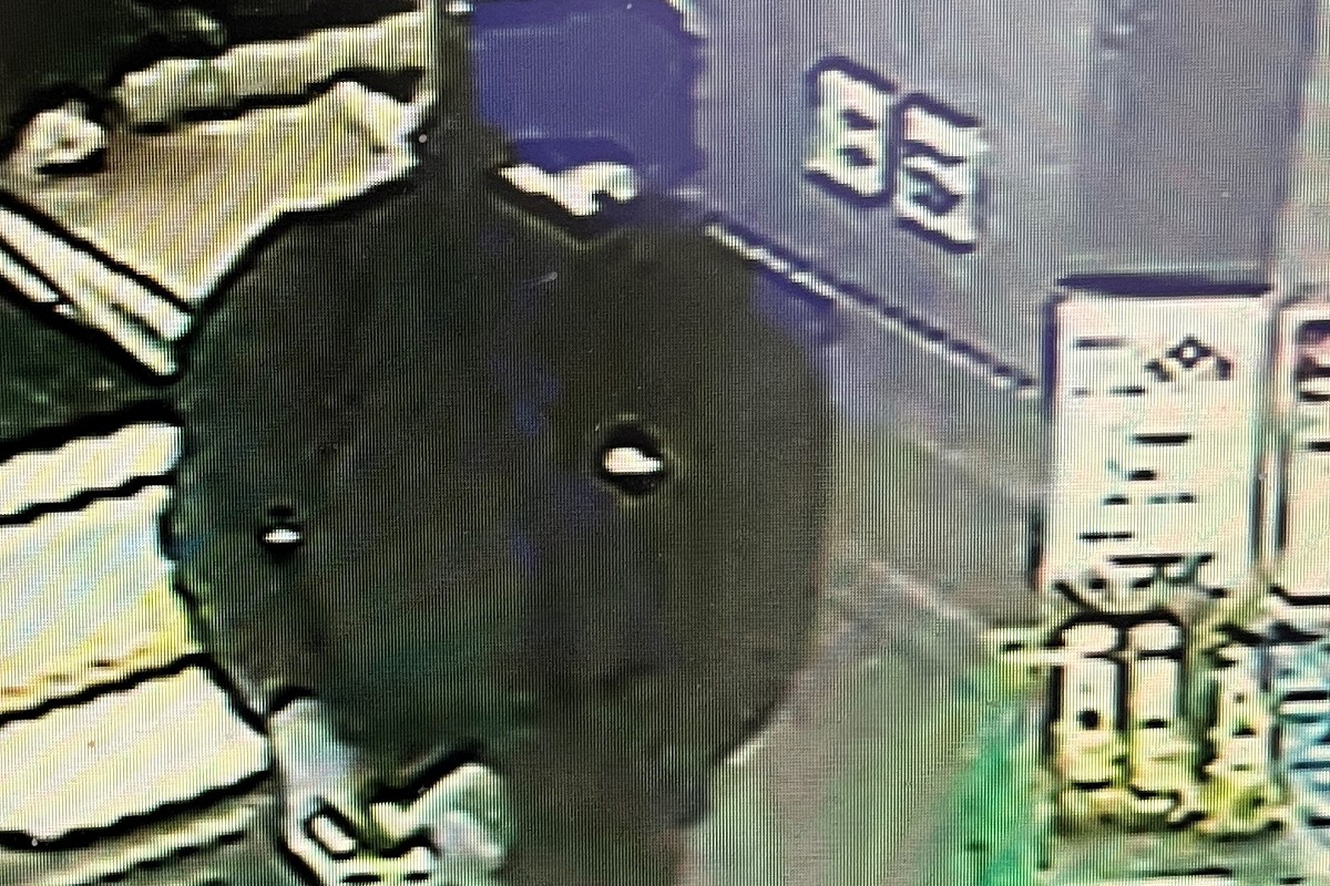 Pfyn TG - Bewaffneter Raubüberfall auf weitere Volg-Filiale