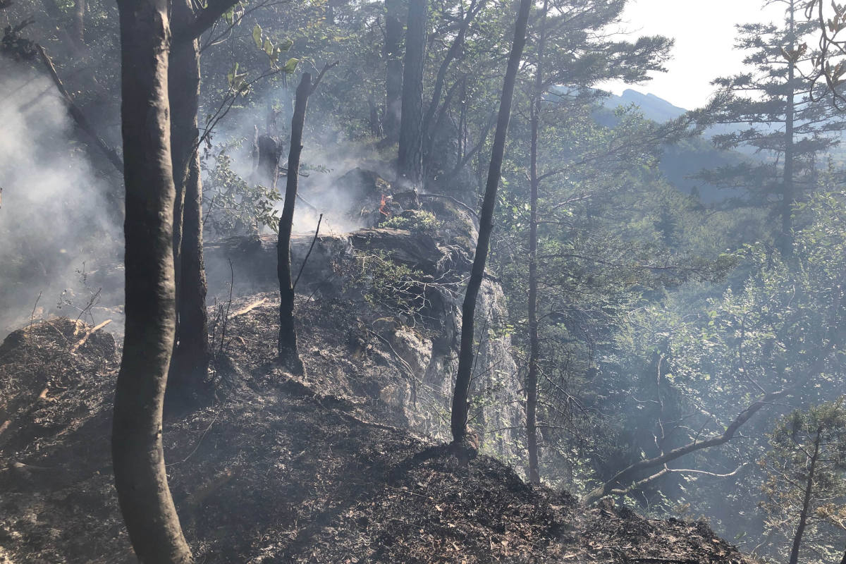 Balsthal SO – Waldbrand auf dem Roggen