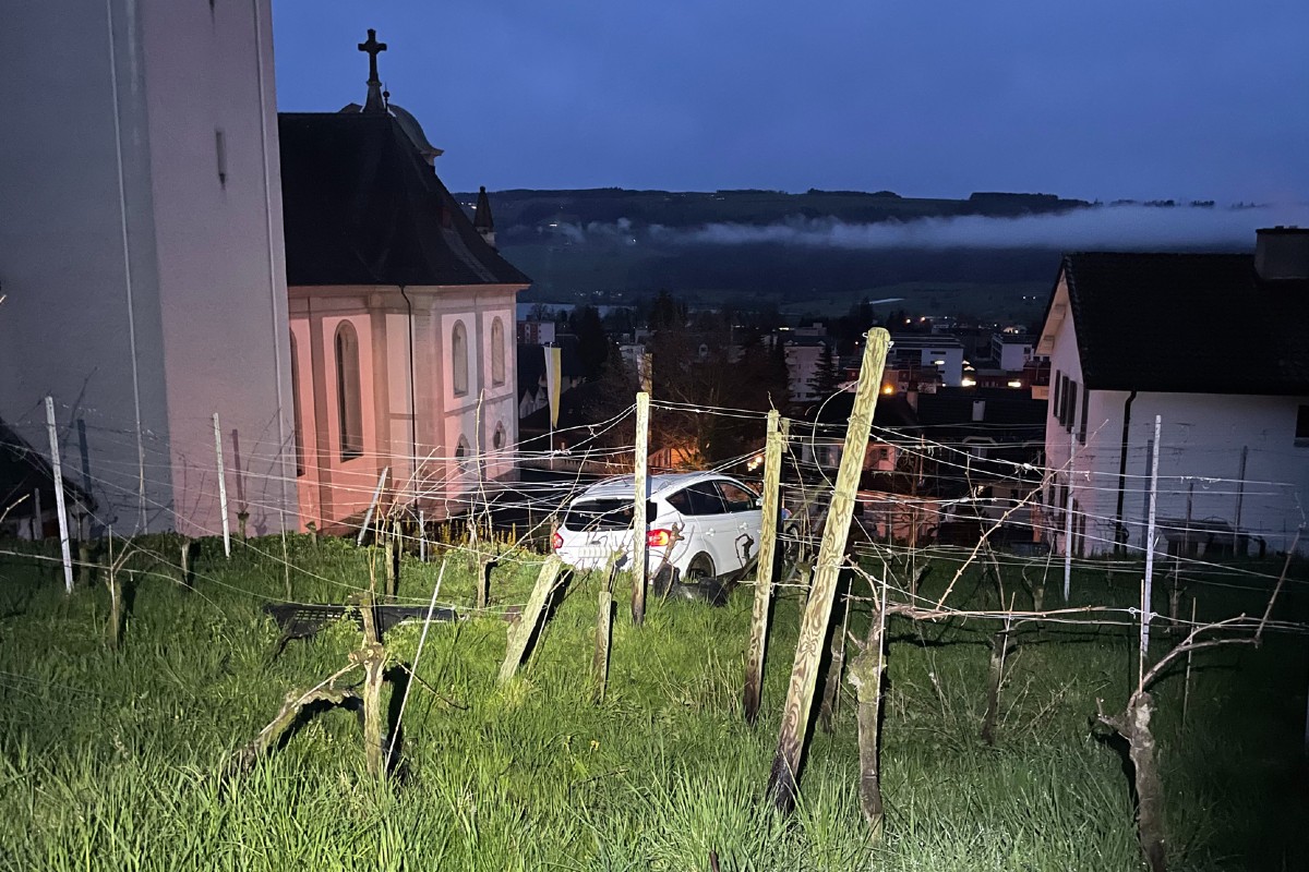 Hitzkirch LU - Führerloses Auto rollte heute früh in Rebberg 