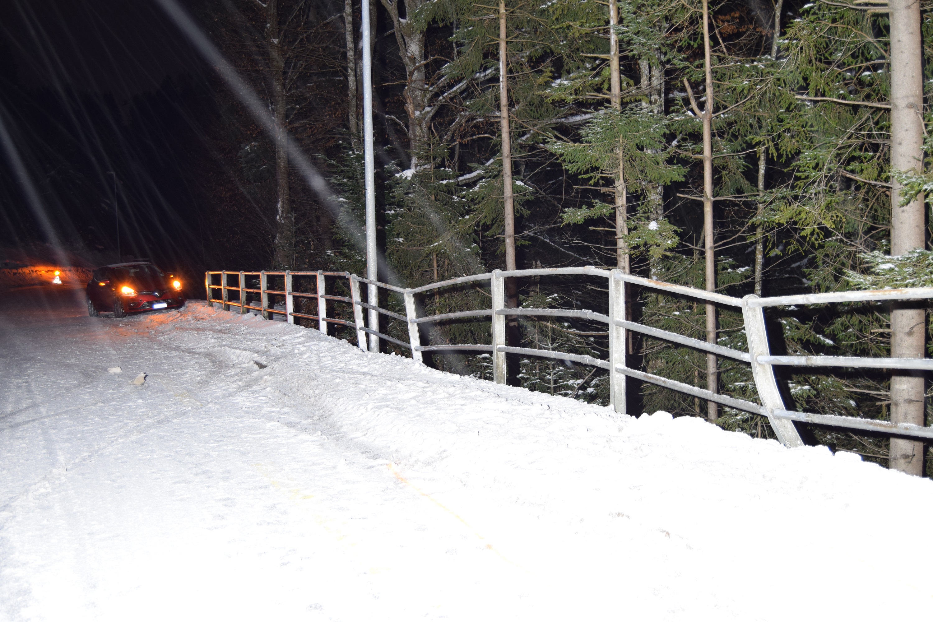 Trogen AR - Selbstunfall mit Personenwagen