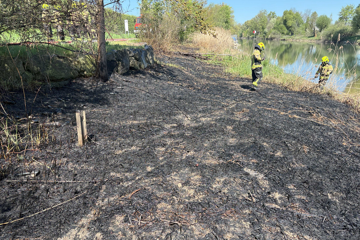Rheineck SG – Brand von Schilfbrand bei Schifflände